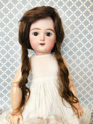 Gorgeous Antique French Bisque Head Eden Bebe Doll Wig