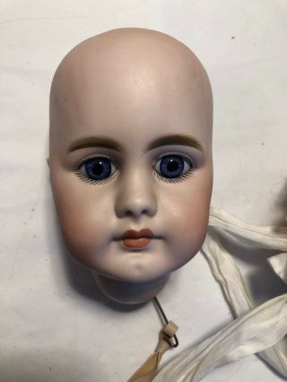 Hard To Find Antique S & H 949 Closed Mouth Doll Head.  As Found 12