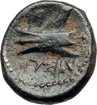 Arados In Phoenicia Authentic Ancient 206bc Greek Coin W Zeus & Galley I75432