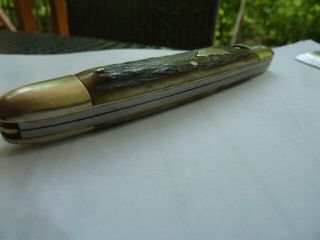 Vintage Stidham ' s Hand Forged Dog Knife Solingen Whittler Three Blade Stag 2