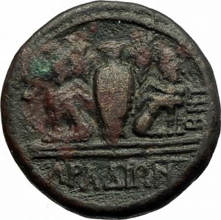Domitian Authentic Ancient 81ad Arados Phoenicia Roman Coin Urn Sphinxes I77185