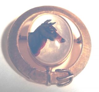 VICTORIAN Antique 14K Gold ESSEX Doberman Pinscher DOG PORTRAIT PIN Hand Painted 2