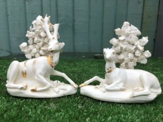 Pair: 18thc Derby Porcelain Recumbent Deer With Intricate Bocage To Rears C1790s