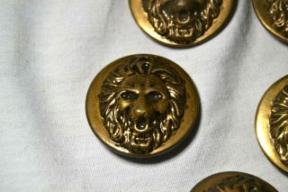 5 Vintage High Relief Brass Lion Head Buttons Lion king Wizard of Oz 2