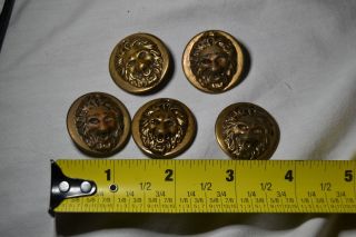 5 Vintage High Relief Brass Lion Head Buttons Lion king Wizard of Oz 4