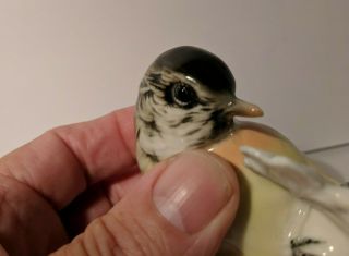 Vintage Germany Karl Ens Ceramic Bird Figurine Titmouse 7
