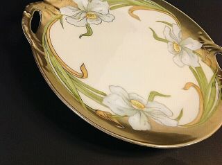 P.  T.  BAVARIA CHINA CAKE PLATE.  HAND PAINTED.  1920 ' S 10 INCH ANTIQUE GOLD TRIM 3