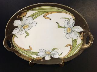 P.  T.  BAVARIA CHINA CAKE PLATE.  HAND PAINTED.  1920 ' S 10 INCH ANTIQUE GOLD TRIM 6