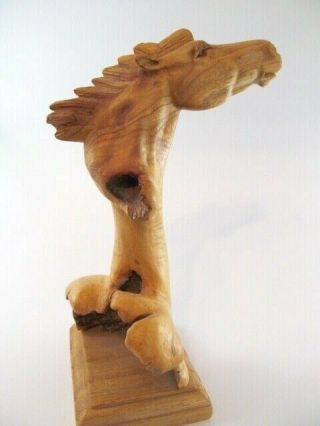 Vintage Hand Carved Horse Head - Made in BALI from Chinaberry Parasite Wood - EUC 2