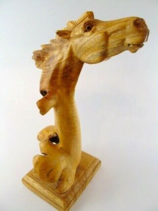 Vintage Hand Carved Horse Head - Made in BALI from Chinaberry Parasite Wood - EUC 3