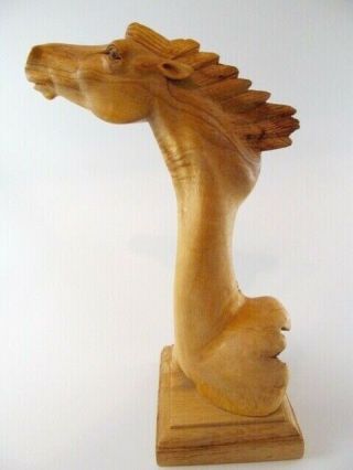 Vintage Hand Carved Horse Head - Made in BALI from Chinaberry Parasite Wood - EUC 4