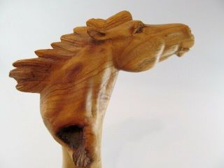 Vintage Hand Carved Horse Head - Made in BALI from Chinaberry Parasite Wood - EUC 5