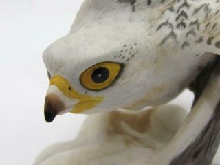 1988 Franklin Porcelain Reportorial Birds of Prey Falcon Figurine 3