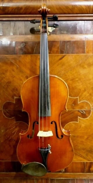 Wolff Bros Fine Antique C19th Violin Labelled In Belly No 936 Date 1891 4/4 7/8