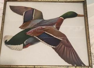 Rare Vintage Die Cut Winchester Duck Hunting Ammo Cardboard Sign Display