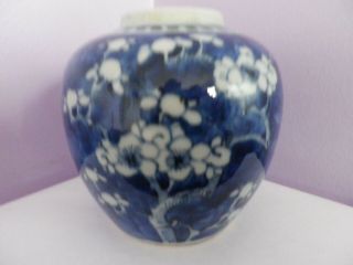 Fabulous Vintage Chinese Prunus Tree Design Ginger Jar/pot/vase 13.  5 Cms Tall