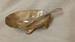 Antique Mother Of Pearl Shell Footed Table Salt And Epns Salt Spoon