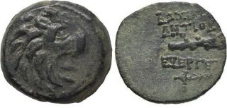 Ancient Greece 138 - 129 Bc Seleukid Kingdom Antiochos Vii Lion