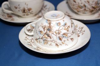 Antique Marx & Gutherz Carlsbad 2557/59 Hand Painted C1890 Tea Cup & Saucer Set