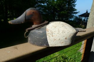 Clifford " Moody " Lind (1905 - 1980) Freemont,  Wi Huge - 20.  5 " Lead Canvasback Drake