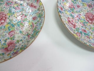 Fine Antique Chinese Porcelain Plates - Late19th/Early20th C. 6
