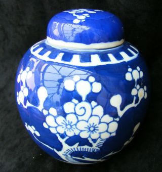 Chinese Ginger Jar - Prunus Pattern - Virtually Perfect - C 1920