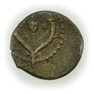 Judaea (135 - 106 Bc) John Hyrcanus Ae Widows Mite,  Small Ancient Coin [4119.  03]