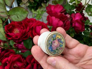Antique,  rated rare,  mini Floral Prattware jar (421 Mortimer) pot lid 6