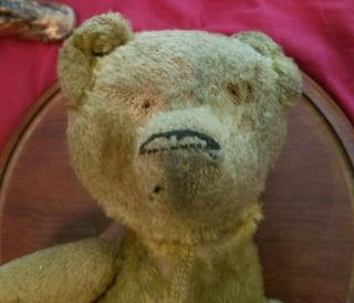 Antique Humpback Stick Teddy Bear Straw Stuffed Jointed Display Bundle