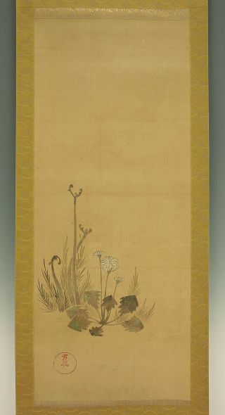 掛軸1967 Japanese Hanging Scroll : Ogata Korin " Bracken And White Flower " @e208