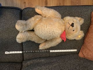 Large Vintage Steiff Teddy Bear,  Made In Germany,  Tag 0201/66.