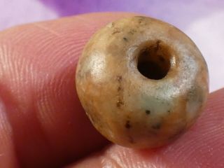 ANCIENT PRE - COLUMBIAN - MESOAMER.  MAYAN JADE BELIZE BEAD 14.  4 BY 11.  8 MM TOPS 7