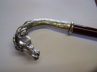 Vintage Walking Cane Stick Wood Shaft Sterling Handle Grip Horse Head Equestrian 6