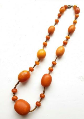 Antique Baltic Egg Yolk Amber Beads Necklace 42.  3g