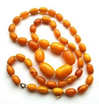 Antique Baltic Egg Yolk Amber Beads Necklace