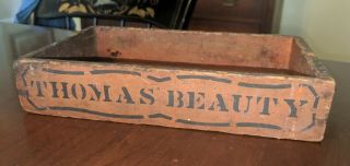 Thomas Beauty Antique Painted Stencil Wood Box Tray American 19th Century