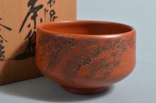 T4749: Japanese Tokoname - Ware Pine Poetry Sculpture Tea Bowl W/signed Box