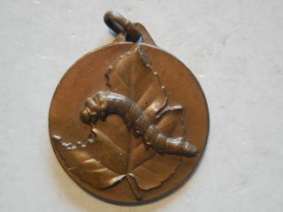Italy Medal Breeding Silkworms 1937 Bachi Da Seta