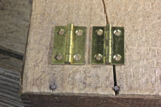 2 Small Cabinet Door Hinges Shutter Nos Solid Brass 1 X 3/4 " Antique Box Vintage