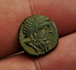 Ancient Seuthes Iii,  King Of Thrace,  Ca 323 - 316 Bc.  Ae 13 Extremely Rare.