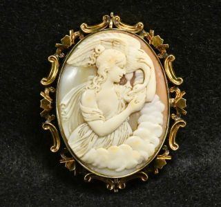 Vintage Leda & Swan Cameo Large Brooch Pin - Fine Detail