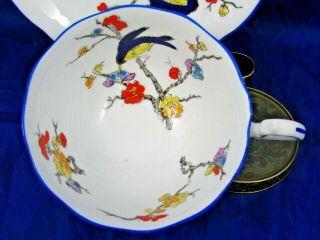 ROYAL ALBERT HAND PAINTED BLOSSOM BIRDS FLORAL TEA CUP AND SAUCER 4
