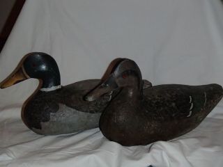 Antique duck decoys,  mallard decoys 2