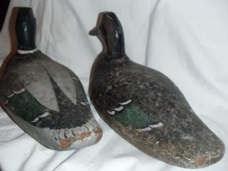 Antique duck decoys,  mallard decoys 4