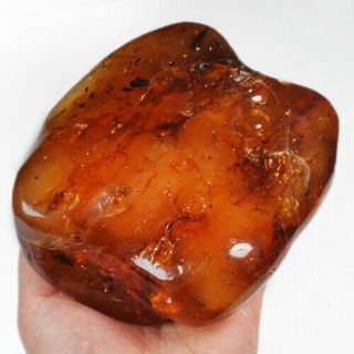 442.  8g Natural Baltic Butterscotch Amber 琥珀 蜜蜡 Facet Rough Specimen Msfc766