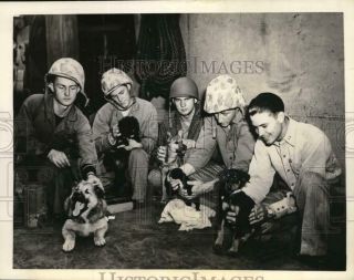 1944 Press Photo Coast Guardmen & Marines With Their Pets,  Pacific,  World War Ii