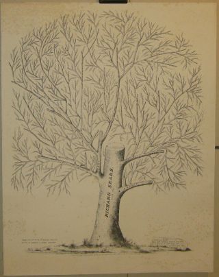 Antique Richard Sears Family Tree Genealogy Print - England Settler
