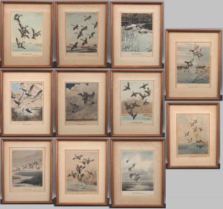 Series 11 Antique Ducks Unlimited Federal Duck Stamp Hand Tinted Prints 1939 - 49