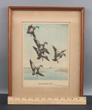 Series 11 Antique Ducks Unlimited Federal Duck Stamp Hand Tinted Prints 1939 - 49 2