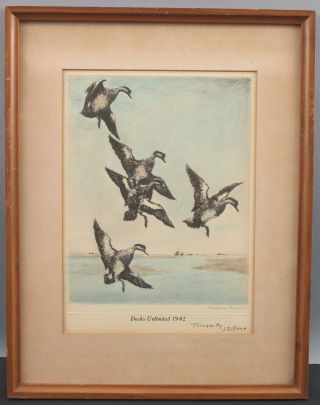 Series 11 Antique Ducks Unlimited Federal Duck Stamp Hand Tinted Prints 1939 - 49 3